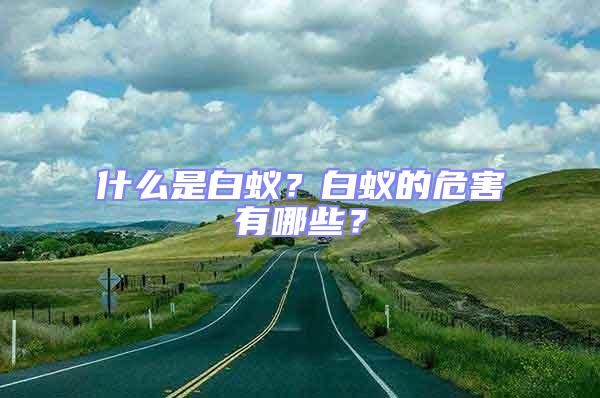 什么是白蟻？白蟻的危害有哪些？