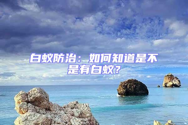 白蟻防治：如何知道是不是有白蟻？
