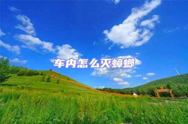 車內(nèi)怎么滅蟑螂