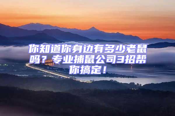 你知道你身邊有多少老鼠嗎？專業(yè)捕鼠公司3招幫你搞定！