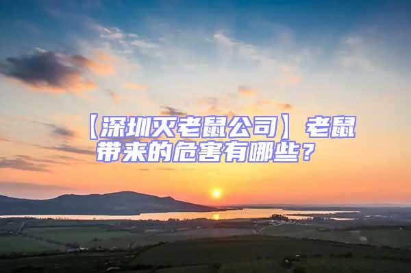 【深圳滅老鼠公司】老鼠帶來的危害有哪些？