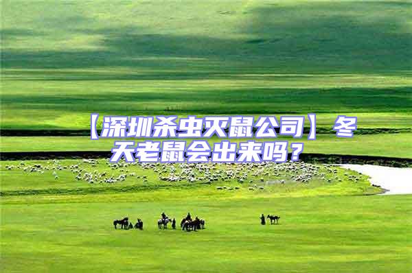 【深圳殺蟲滅鼠公司】冬天老鼠會(huì)出來嗎？