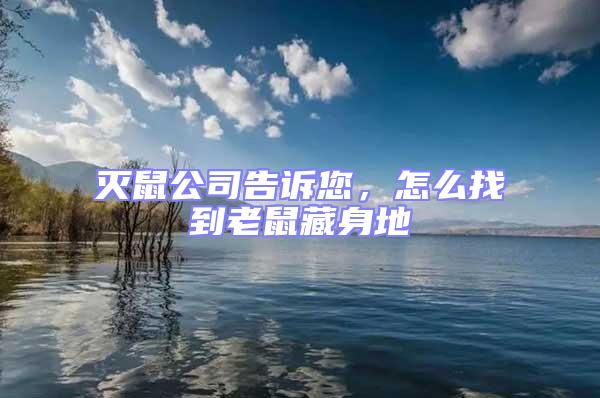 滅鼠公司告訴您，怎么找到老鼠藏身地