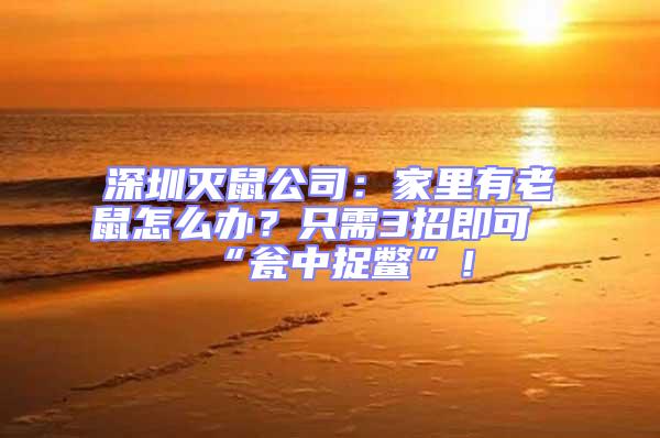 深圳滅鼠公司：家里有老鼠怎么辦？只需3招即可“甕中捉鱉”！