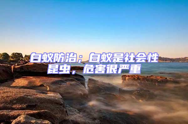 白蟻防治；白蟻是社會(huì)性昆蟲，危害很嚴(yán)重