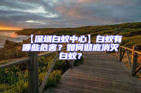 【深圳白蟻中心】白蟻有哪些危害？如何徹底消滅白蟻？
