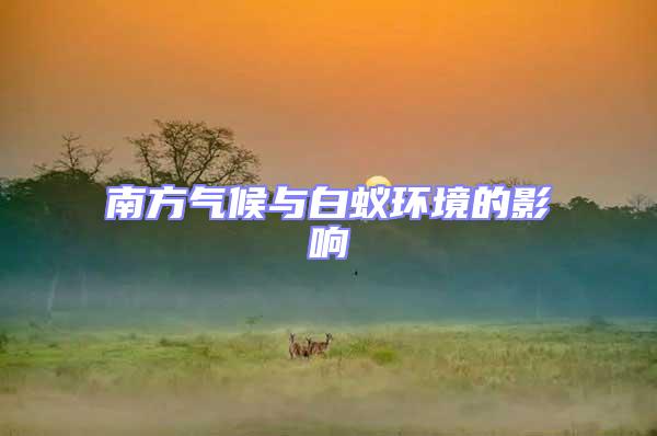 南方氣候與白蟻環(huán)境的影響