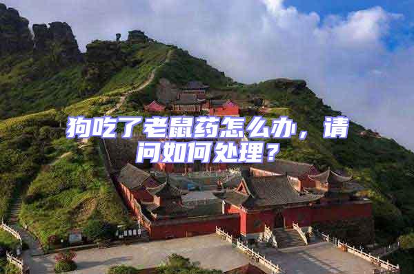 狗吃了老鼠藥怎么辦，請問如何處理？