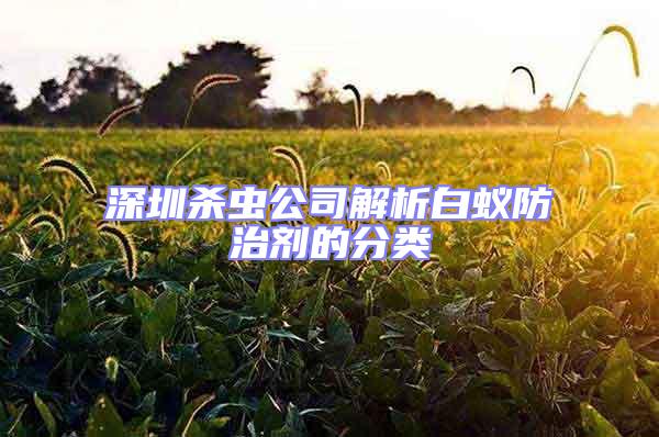 深圳殺蟲公司解析白蟻防治劑的分類