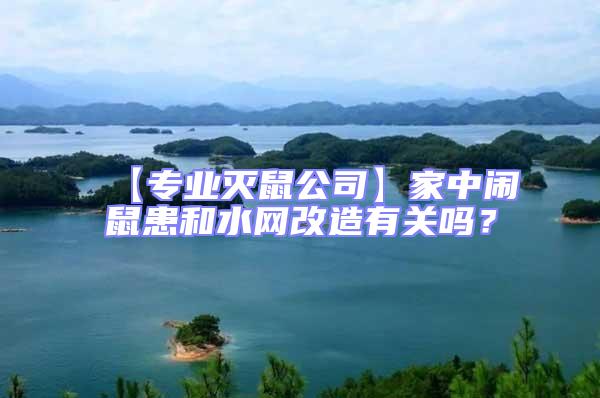 【專業(yè)滅鼠公司】家中鬧鼠患和水網(wǎng)改造有關(guān)嗎？