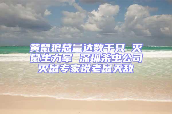 黃鼠狼總量達(dá)數(shù)千只 滅鼠生力軍 深圳殺蟲公司滅鼠專家說(shuō)老鼠天敵