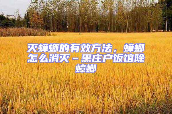 滅蟑螂的有效方法，蟑螂怎么消滅–黑莊戶飯館除蟑螂