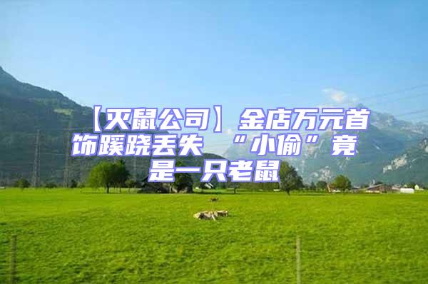 【滅鼠公司】金店萬(wàn)元首飾蹊蹺丟失 “小偷”竟是一只老鼠