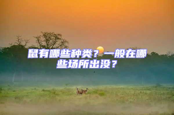 鼠有哪些種類？一般在哪些場所出沒？