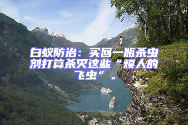 白蟻防治：買(mǎi)回一瓶殺蟲(chóng)劑打算殺滅這些“煩人的飛蟲(chóng)”。
