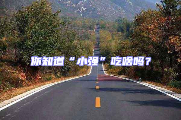 你知道“小強(qiáng)”吃啥嗎？
