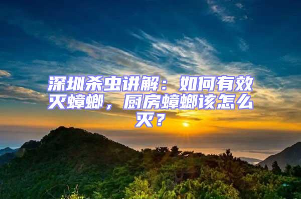 深圳殺蟲講解：如何有效滅蟑螂，廚房蟑螂該怎么滅？