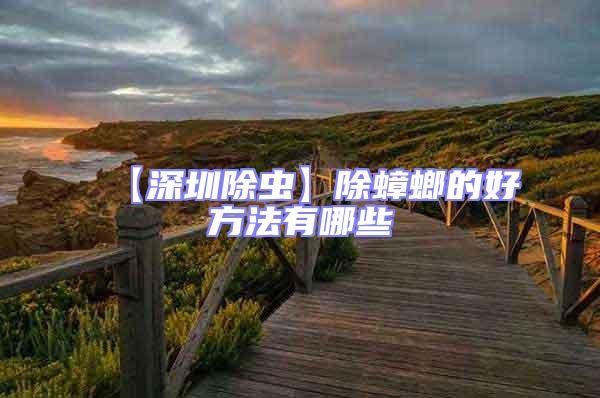 【深圳除蟲】除蟑螂的好方法有哪些