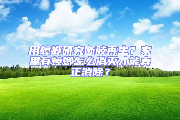 用蟑螂研究斷肢再生？家里有蟑螂怎么消滅才能真正消除？