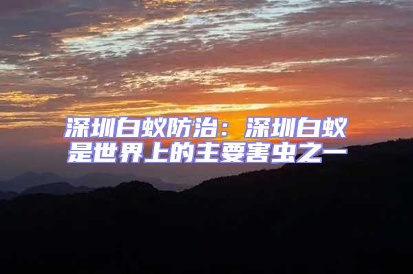 深圳白蟻防治：深圳白蟻是世界上的主要害蟲(chóng)之一