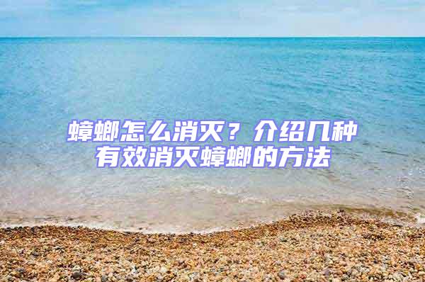 蟑螂怎么消滅？介紹幾種有效消滅蟑螂的方法