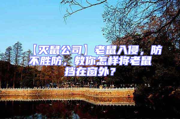 【滅鼠公司】老鼠入侵，防不勝防，教你怎樣將老鼠擋在窗外？