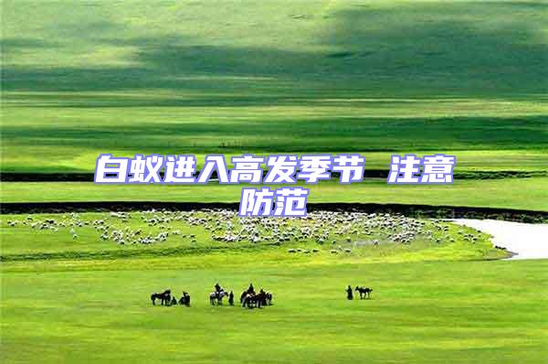 白蟻進(jìn)入高發(fā)季節(jié) 注意防范