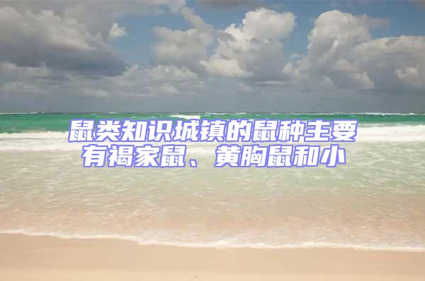 鼠類知識城鎮(zhèn)的鼠種主要有褐家鼠、黃胸鼠和小