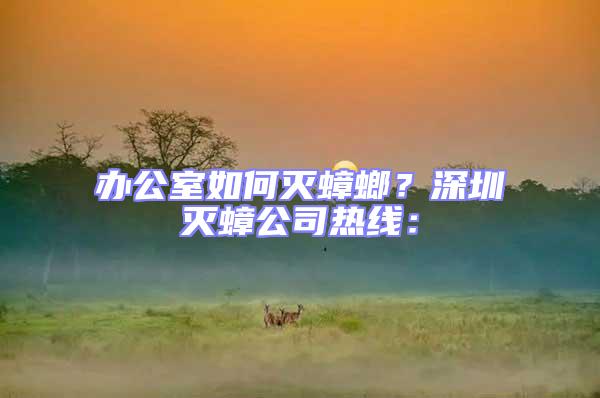 辦公室如何滅蟑螂？深圳滅蟑公司熱線(xiàn)：