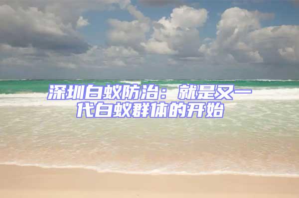 深圳白蟻防治：就是又一代白蟻群體的開(kāi)始