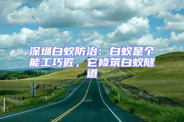深圳白蟻防治：白蟻是個(gè)能工巧匠，它修筑白蟻隧道