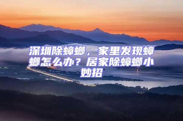 深圳除蟑螂，家里發(fā)現(xiàn)蟑螂怎么辦？居家除蟑螂小妙招