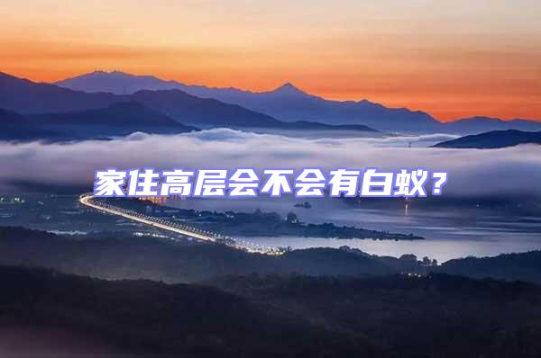 家住高層會不會有白蟻？