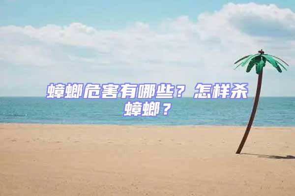 蟑螂危害有哪些？怎樣殺蟑螂？