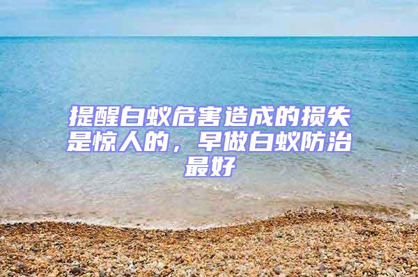 提醒白蟻危害造成的損失是驚人的，早做白蟻防治最好