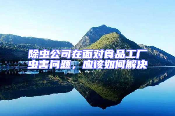 除蟲(chóng)公司在面對(duì)食品工廠蟲(chóng)害問(wèn)題，應(yīng)該如何解決