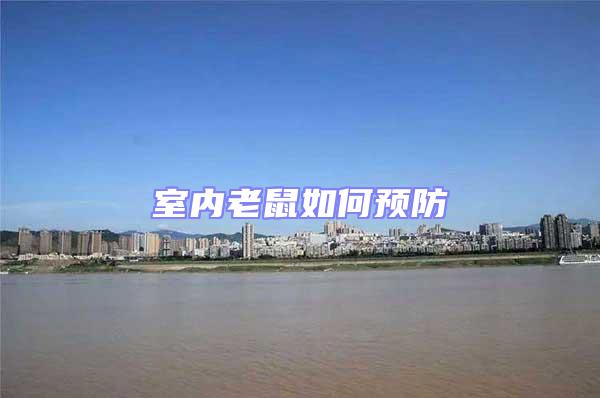 室內(nèi)老鼠如何預(yù)防