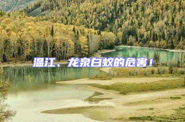 溫江、龍泉白蟻的危害！