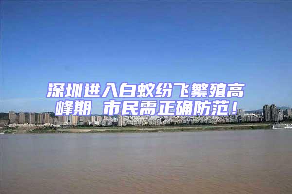 深圳進入白蟻紛飛繁殖高峰期 市民需正確防范！