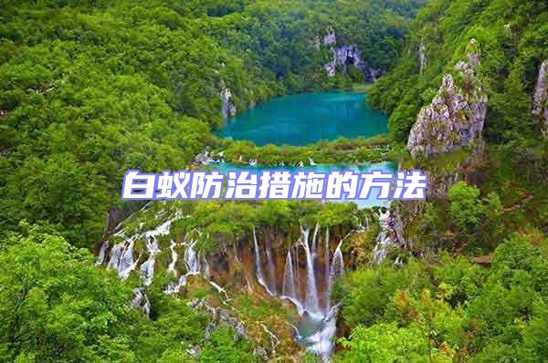 白蟻防治措施的方法