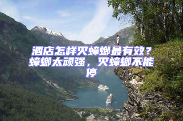酒店怎樣滅蟑螂最有效？蟑螂太頑強(qiáng)，滅蟑螂不能停