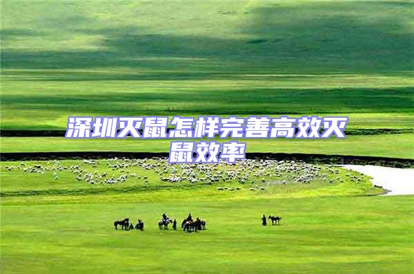 深圳滅鼠怎樣完善高效滅鼠效率