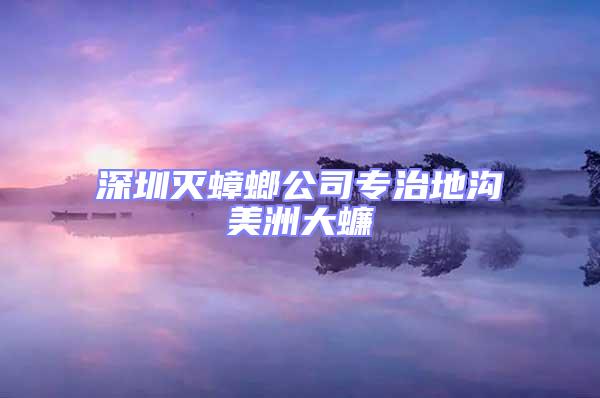 深圳滅蟑螂公司專治地溝美洲大蠊