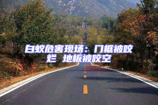 白蟻危害現(xiàn)場(chǎng)：門框被咬爛 地板被咬空