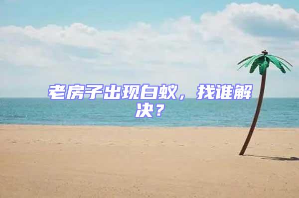 老房子出現(xiàn)白蟻，找誰(shuí)解決？