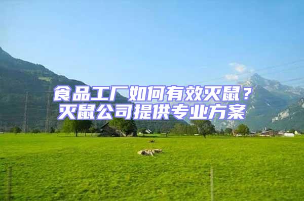 食品工廠如何有效滅鼠？滅鼠公司提供專業(yè)方案