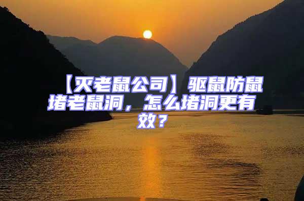 【滅老鼠公司】驅鼠防鼠堵老鼠洞，怎么堵洞更有效？