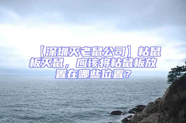 【深圳滅老鼠公司】粘鼠板滅鼠，應(yīng)該將粘鼠板放置在哪些位置？