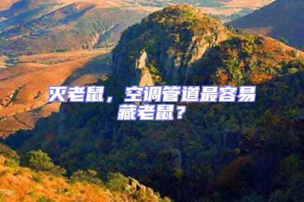 滅老鼠，空調(diào)管道最容易藏老鼠？