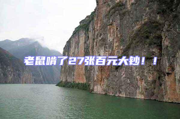 老鼠啃了27張百元大鈔！！